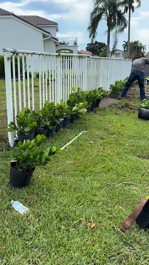 66 reactions · 28 comments |  Privacy, elegance, perfection. The...