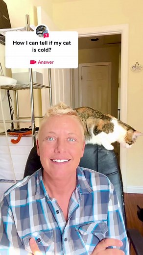 Is Your Cat Feeling Cold? How to Tell and Keep Them Cozy