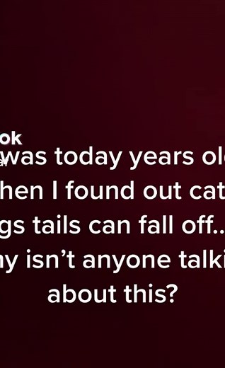 This is called #Tail #Trauma. #Tailtrauma is defined as basically any injury to the canine tail or its supporting structures. This can include injuries emanating from breaks, abrasions and chewing as well as sprains, fractures and more serious spinal or genetic anomalies or injuries. *Does it hurt them?* It's important to know that a tail #injury could mean your #dog or #cat is in tremendous pain. The severity of your dog's broken tail depends on where the break is. *What to do in a situation li