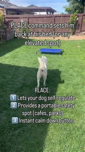 Learning PLACE has been such a game changer for us