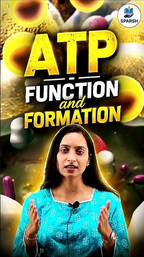 What is ATP? The Energy Currency of Cells ⚡