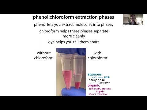 TRIzol extractions of RNA, DNA, and protein