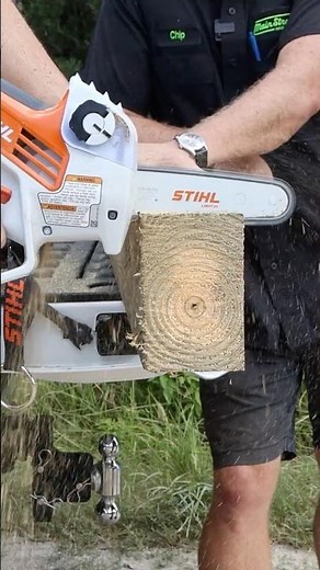 Is the STIHL GTA 40 the Most Powerful Mini Chainsaw Ever? ⚡🌳