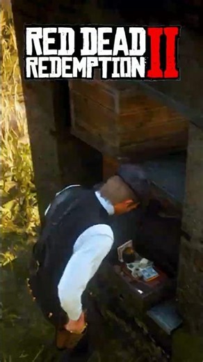 Valuable Hidden Locations in Red Dead Redemption 2