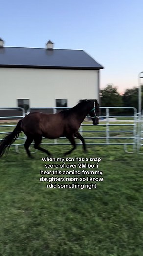 Favorite Movie: Flicka & Horses Compilation