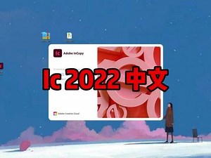 incopy使用教程