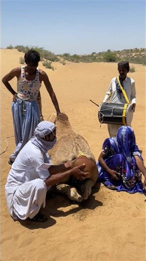 يجعل الله تعالى الحيوانات العاجزة عن الكلام تساعد البشر بعون غير مرئي