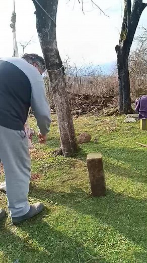 Engaging with Wild Turkeys in Rural Settings