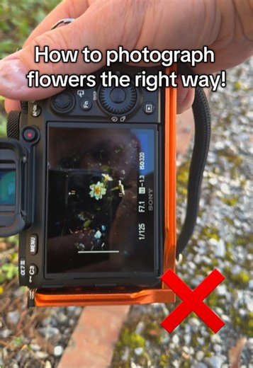 How to Photograph Flowers the Right Way