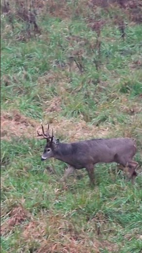 It’s the last day of your hunt. Are you pulling the trigger?