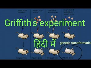 Griffith's experiment