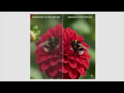 Averaging and Median filtering for Noise Removal