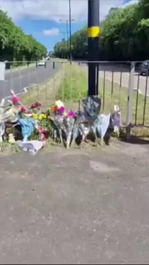 A 20-year-old woman and her dog were killed #Quinton | Birmingham Live