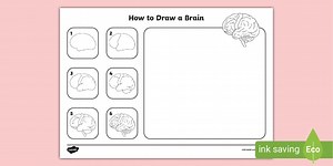 How to Draw a Brain