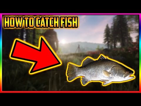 Medieval dynasty How To Catch Fish