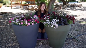These self-watering containers are legit! 💦🌿👍 | Garden Answer