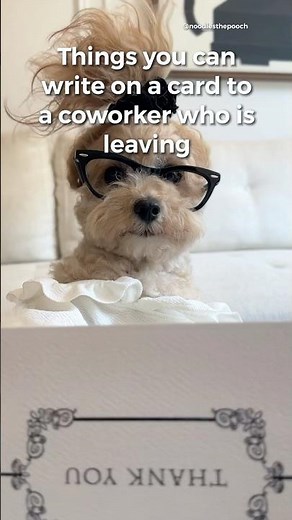 What to write in a card to a coworker who is leaving #funny #funnyshorts #noodlesthepooch