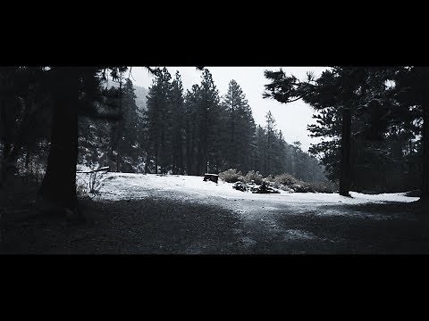 UNAVERAGE GANG - NO ESCAPE (Official Music Video)