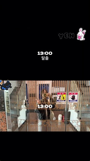 12년생의 일상