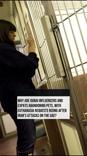 As regional tensions rise following Iranian missile and drone strikes, animal shelters in Dubai are facing a surge in abandoned pets — with owners leaving animals behind due to fear, travel chaos, or economic strain. Shelters say they’re overwhelmed with dogs and cats needing care, food and rehoming, prompting calls for community support and responsible pet ownership during times of crisis. #Dubai #PetAbandonment #AnimalShelter #MiddleEastCrisis #IranConflict