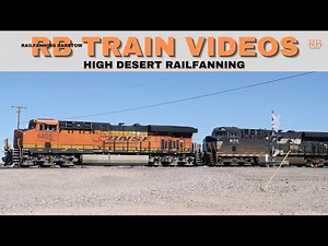 What Happens When Freight Trains Keep Going for MILES and MILES?