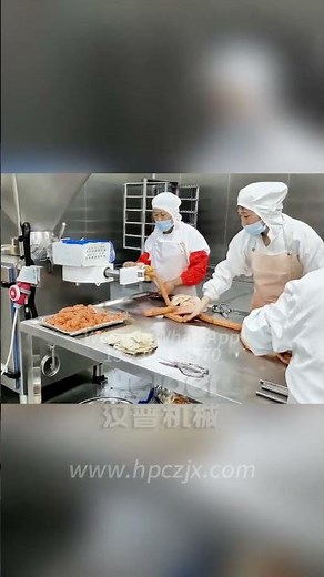 Vacuum-Filling Sausage Stuffer 真空香肠灌装机