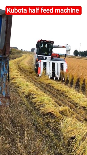 Kubota half feed machine 😱 #shorts #kubota #agriculture