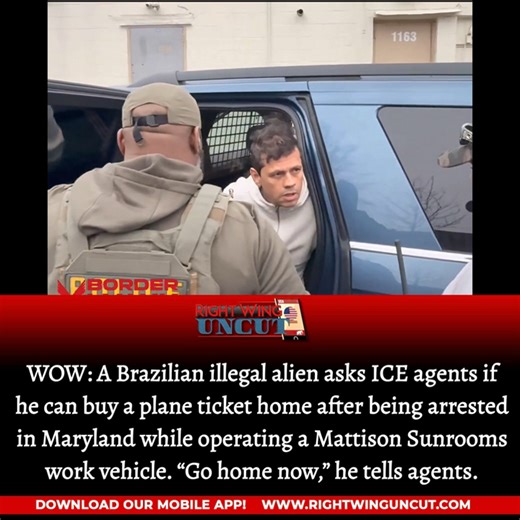 WOW: A Brazilian illegal alien asks ICE agents if he can buy a plane ticket home after being arrested in Maryland while operating a Mattison Sunrooms work vehicle. “Go home now,” he tells agents. Investigate this company now! | Marjorie Taylor Greene Fan Club