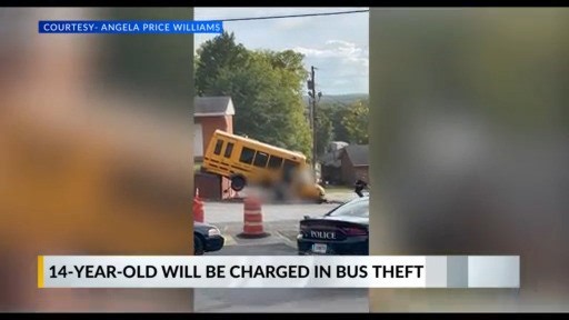 Teenager in police custody after stealing and crashing a bus, police say