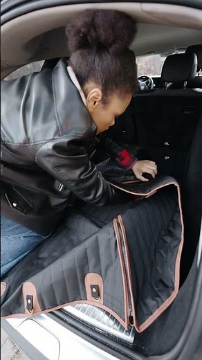 Travel Buddy Mk. II Dog Car Hammock | Cargo Area Installation