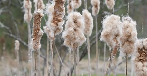 Video by David Dibert on Pexels