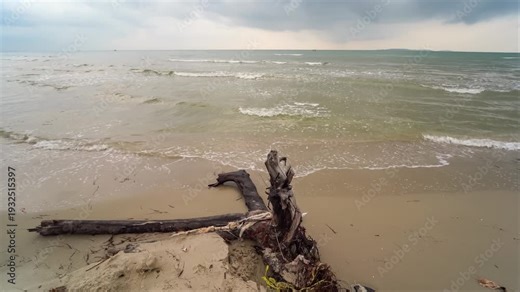 Coastal Driftwood Whispers: A serene coastal scene with the subtle textures of driftwood gently washed ashore, as the calming waves kiss the sandy shores, under an overcast sky.