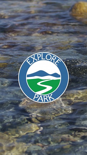  Discover springtime adventure with Explore Park! Whether you're...