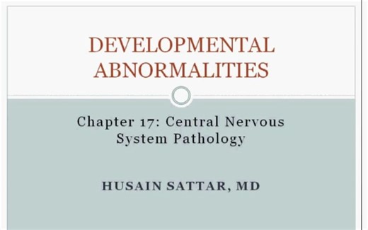 【Pathoma|中英CC字幕|医学英语】17-Central Nervous System Pathology