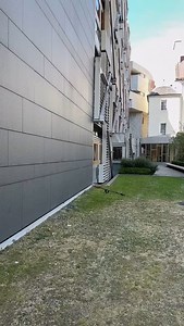 127 reactions · 19 shares | Meet Nevada, the Harris hawk who helps keep @scotparl pigeon-free! Having worked with us for over 10 years, Nevada has become quite the feature here at Holyrood. She promotes local biodiversity and helps scare the pigeons away so they don’t damage our building. | The Scottish Parliament | Facebook