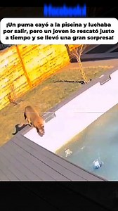 861K views · 20K reactions | Se debatía entre la vida y la muerte, atrapado en el agua congelada sin poder salir. El frío lo estaba venciendo… hasta que apareció él. Un hombre saltó al agua sin miedo, lo levantó con esfuerzo y lo llevó a tierra.  #animales #parati #naturaleza #sad #viralpost | The Towers | Facebook