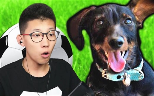 动物战争模拟器，Beast Battle Simulator