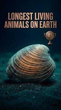 Longest Living Animals on Earth