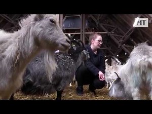 Jokiniemen vuohitila