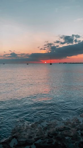 120 reactions · 33 shares | Tart Wars may be over but the MyVI App is...