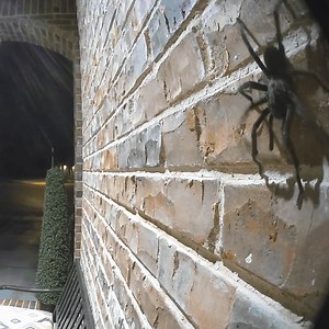 Make sure your place stays haunt-free with Ring Doorbells and Security Cameras | Ring