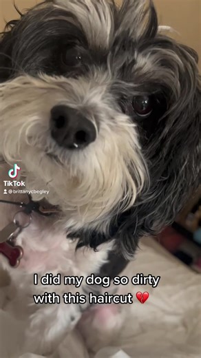 DIY haircut went terribly wrong… sigh | Brittany Begley