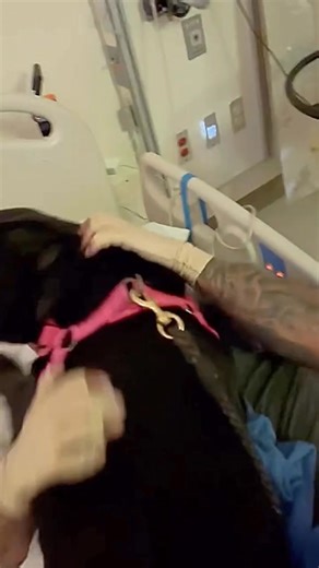 Dogs are family ❤️ | Puppy Rescue