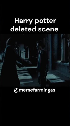‪@harrypotter‬ deleted scene 🤫| Meme