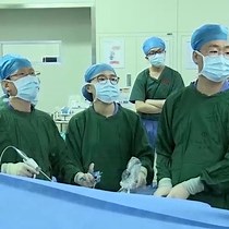 Video: Laparoscopy-endoscopy Cooperative Surgery for the Treatment of Gastric Gastrointestinal Stromal Tumors