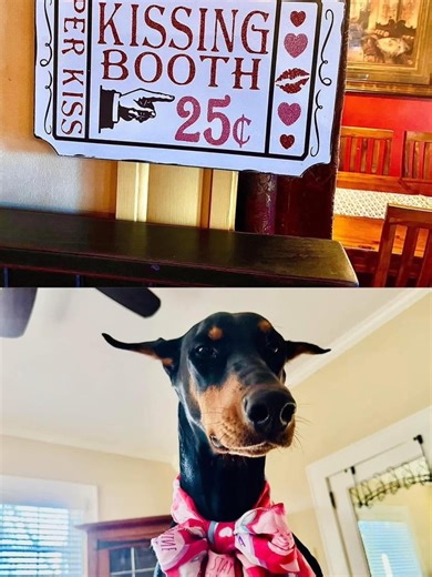 Alice Jules “Where the coffee ☕️ is brewed especially for YOU” on Instagram: "Good morning coffee lovers 🥰. Ms. LOVE says you need to head to Alice Jules Coffee House today for all your Valentine 💕 needs plus she put the “KISSING BOOTH SIGN” 😘🥰 up too 😂😍. First Responders for the month of February “LOVE” month your coffee ☕️ will be covered thanks to our dear friend Holly from “The Monkey Bean Tree” and today we are brewing your favorite Captain Ja