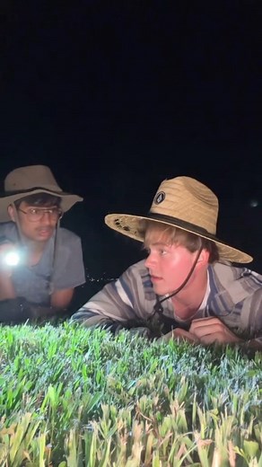 48K views · 39 reactions | Toad hunting! (Pt.1) | Nick Wilkins | Facebook