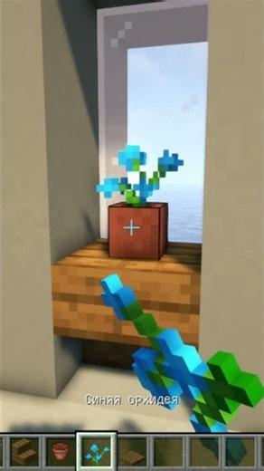 A strangely beautiful window in Minecraft