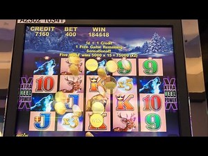 Massive Jackpot TimberWolf Slot Machine Bonus.