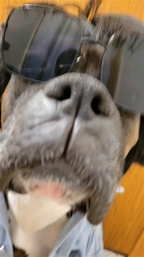 But these tears I can't hold inside 💣 | Princess Pudding Pop Herrington